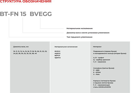 Торцевое уплотнение BT-FN 40 QQVGG в Москве фото